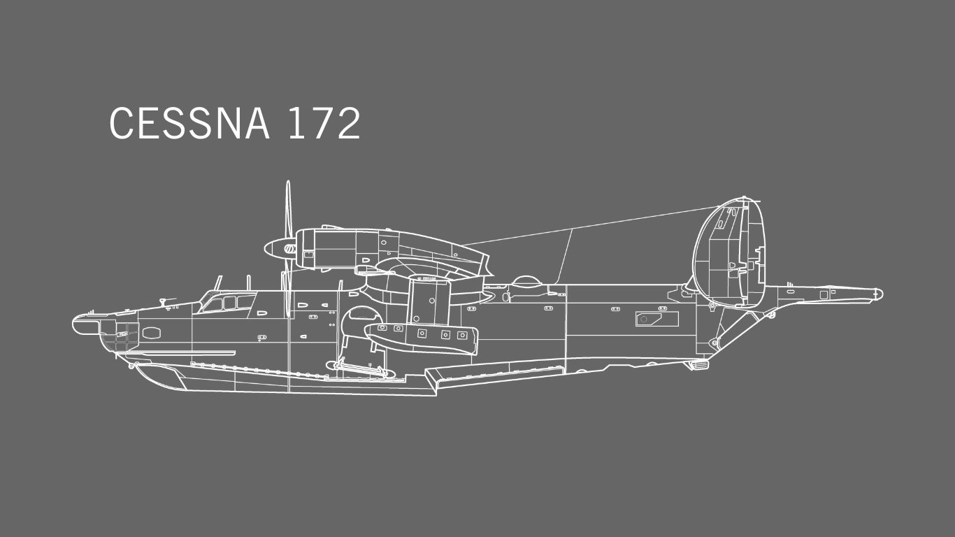 Special Mood Cessna 172