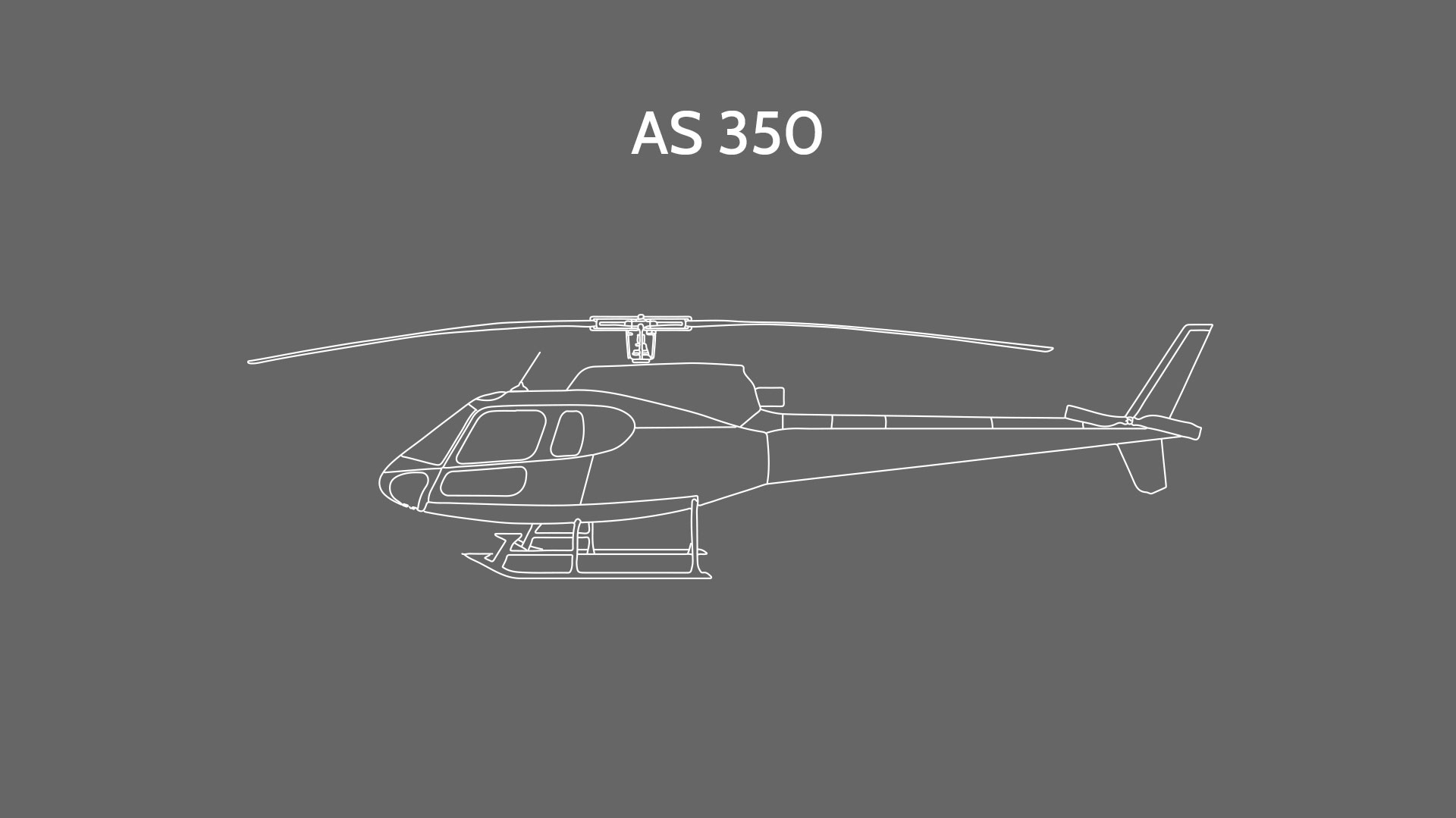 AS 350 New