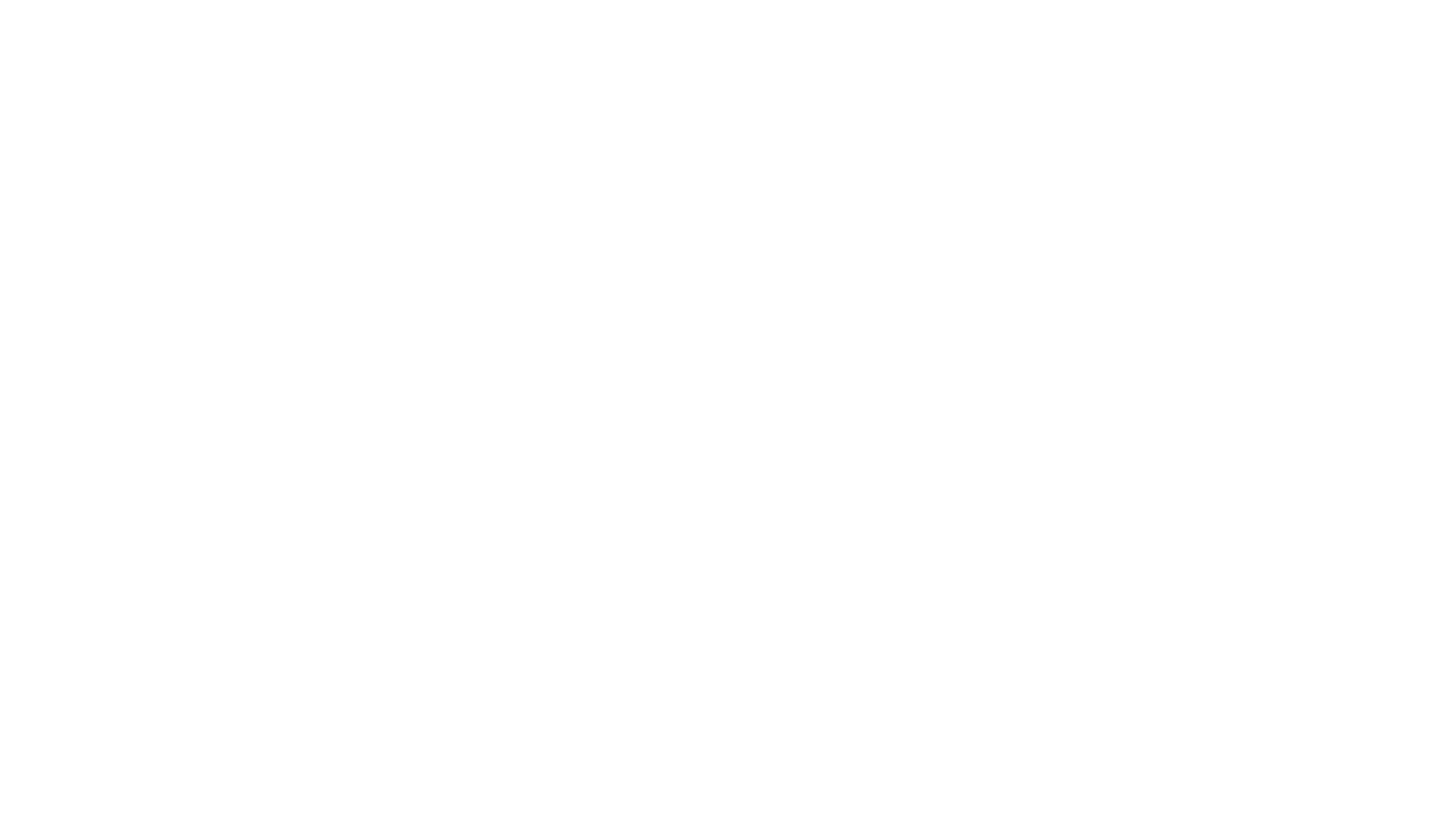 AS 350 New